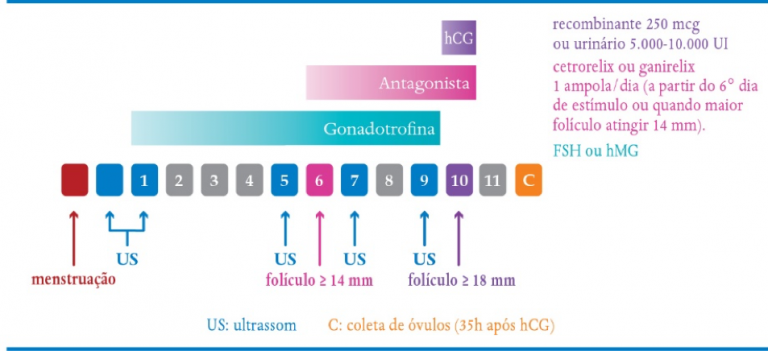 Congelamento de Óvulos devido câncer