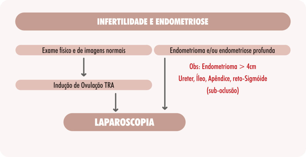 infertilidade e endometriose