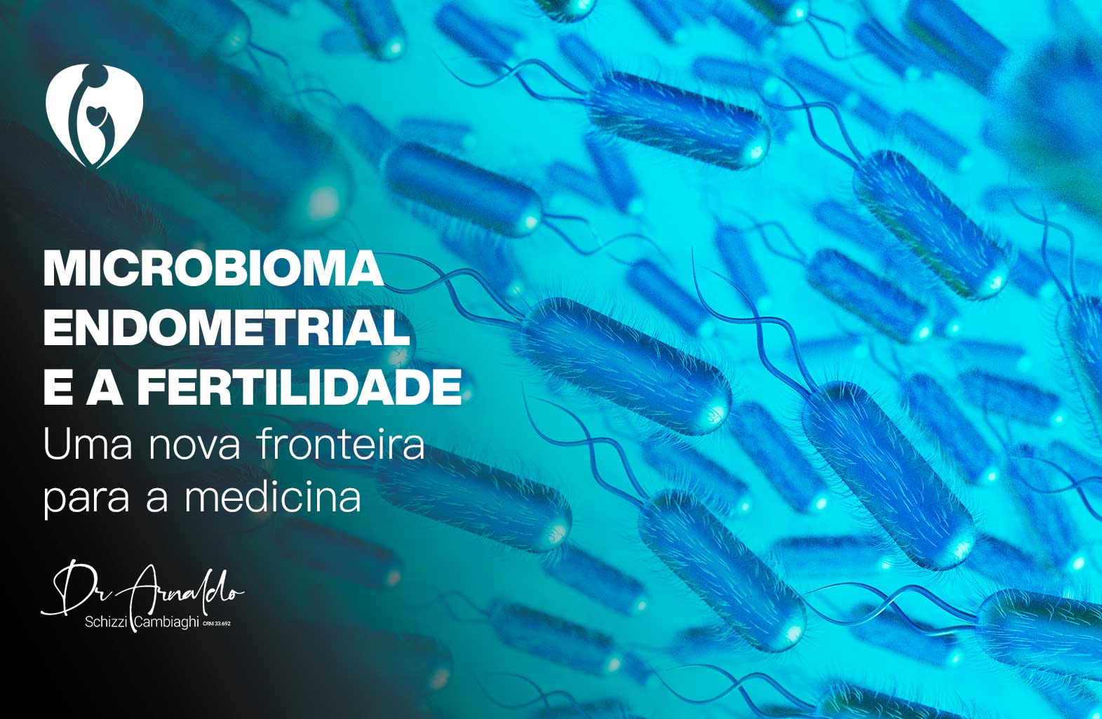 Microbioma endometrial e a fertilidade